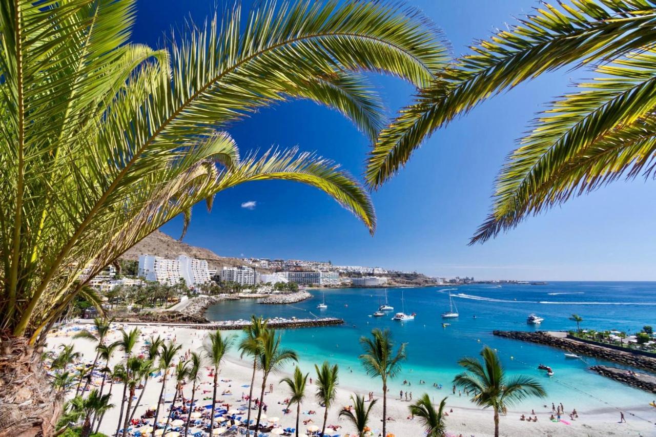 Lovely Apartment Seaview In Puerto Rico With Heated Swimming Pool, Free Wi-Fi And Free Private Parking Zewnętrze zdjęcie